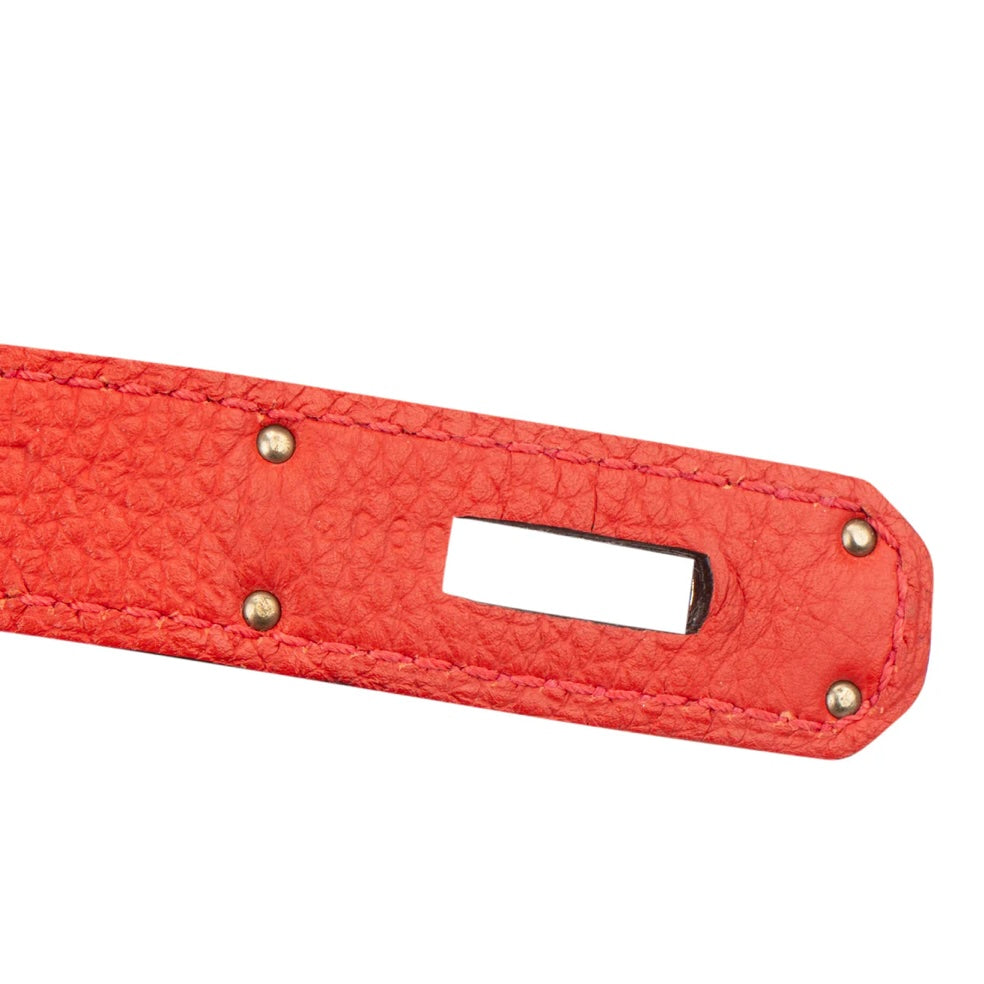 Hermès Rouge Togo Leather Birkin 35 Handbag