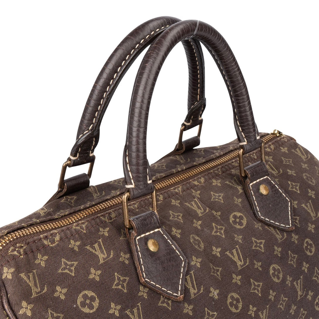 Louis Vuitton Mini Lin Monogram Speedy 30 Handbag