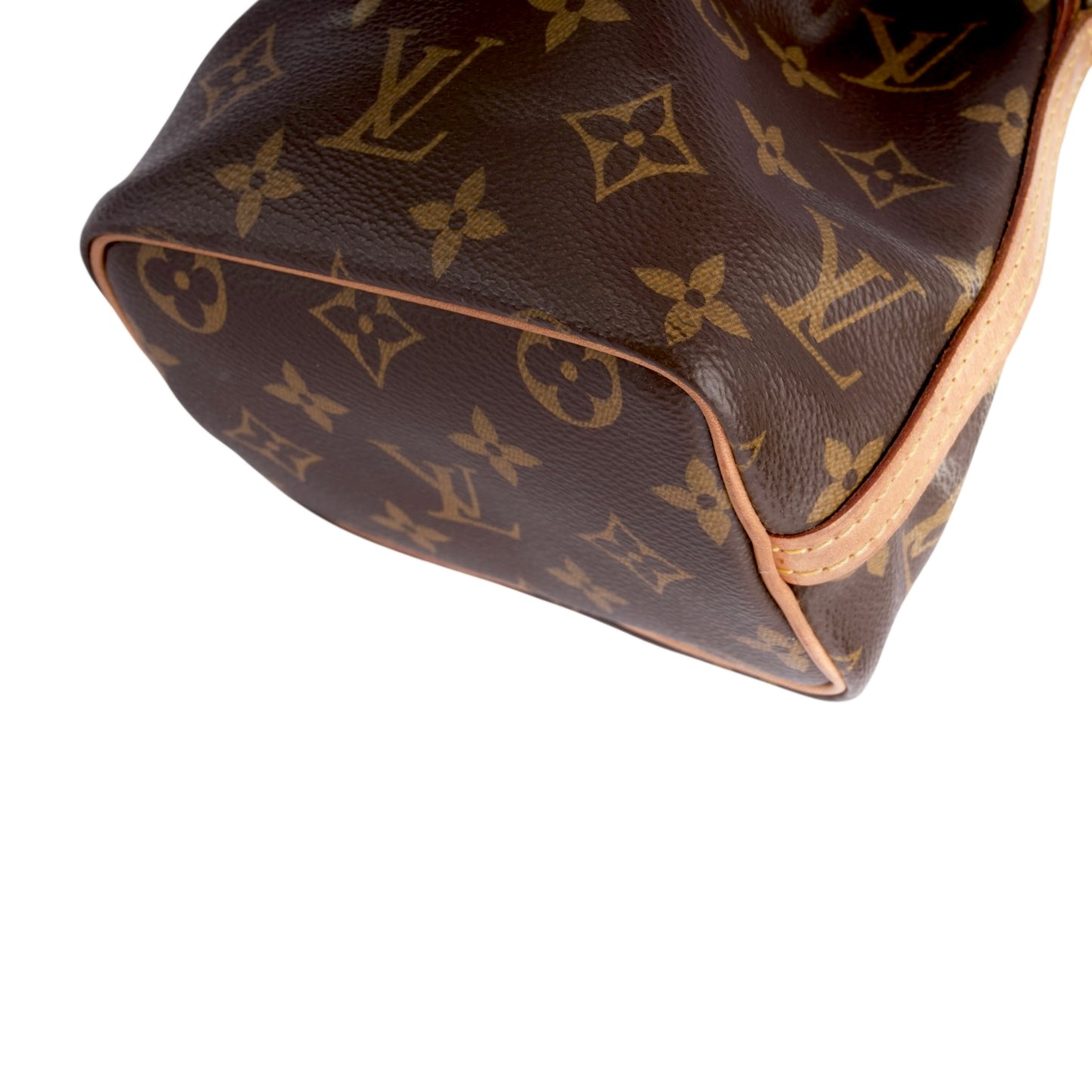 Louis Vuitton Canvas Monogram Nano Noe Bag