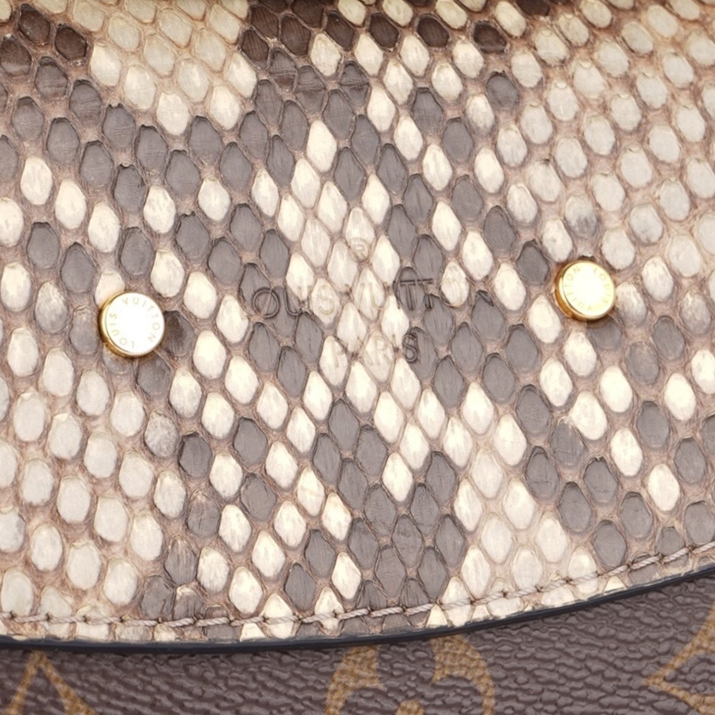 Louis Vuitton Saint-Placide Python Shoulder Bag