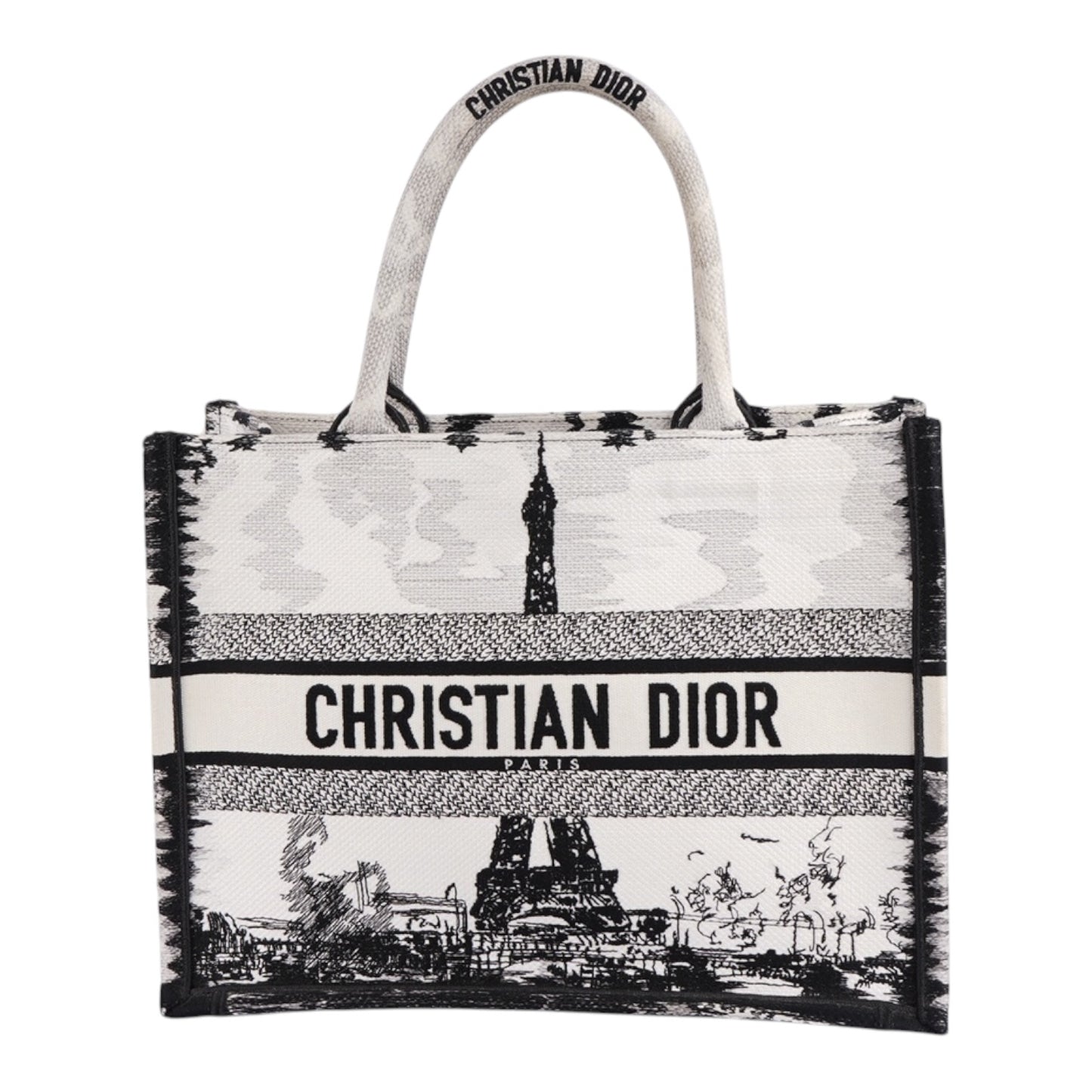 Christian Dior Book Tote Bag Paris Limited Edition Fullset