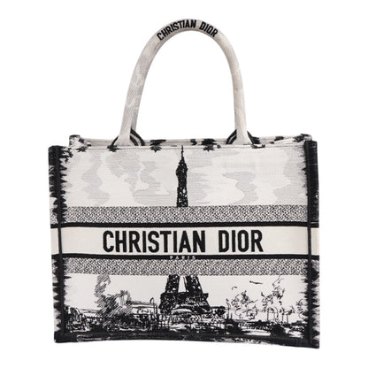 Christian Dior Book Tote Bag Paris Limited Edition Fullset