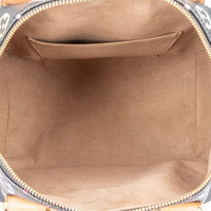 Louis Vuitton Monogram Murakami Multicolor Speedy 30 Handbag