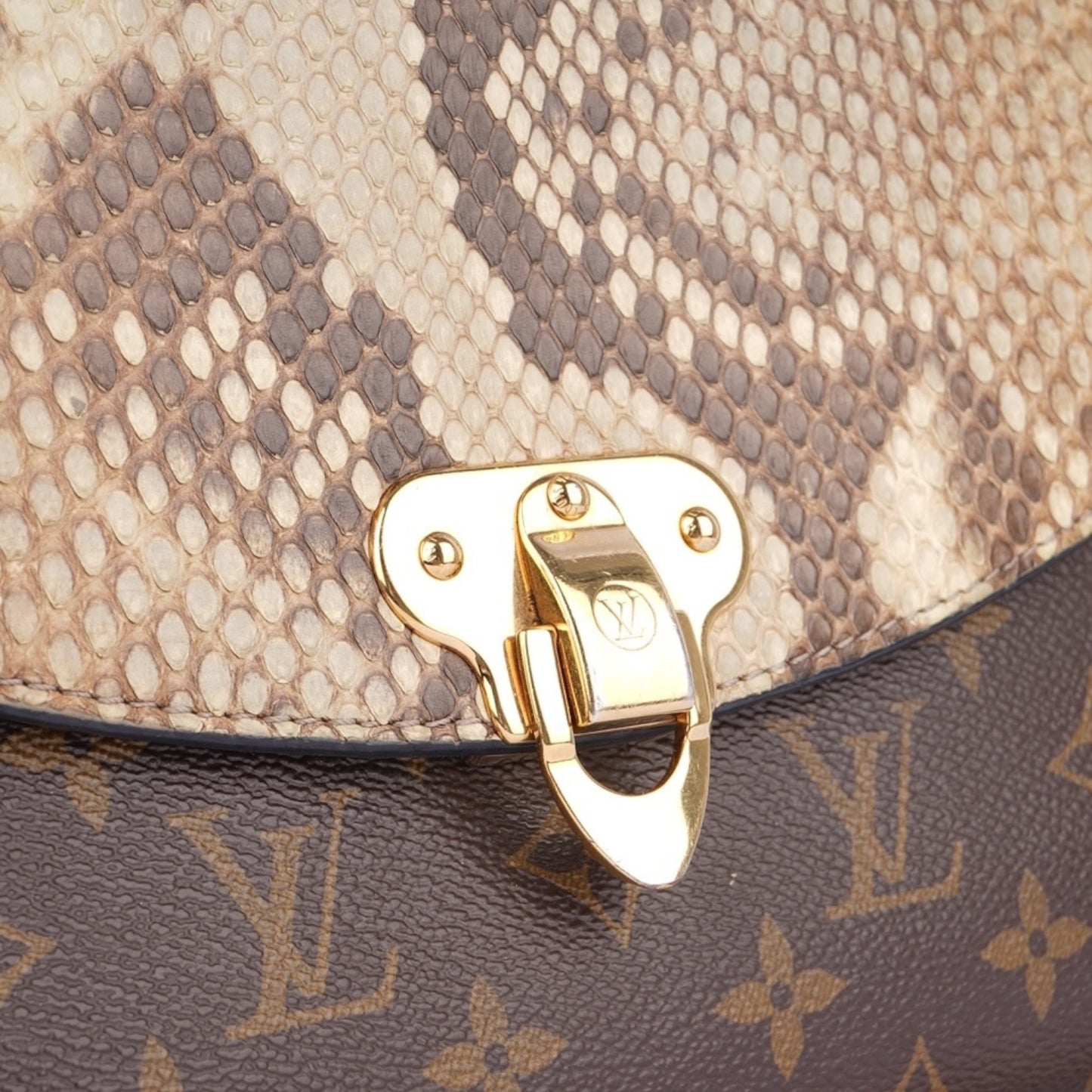 Louis Vuitton Saint-Placide Python Shoulder Bag