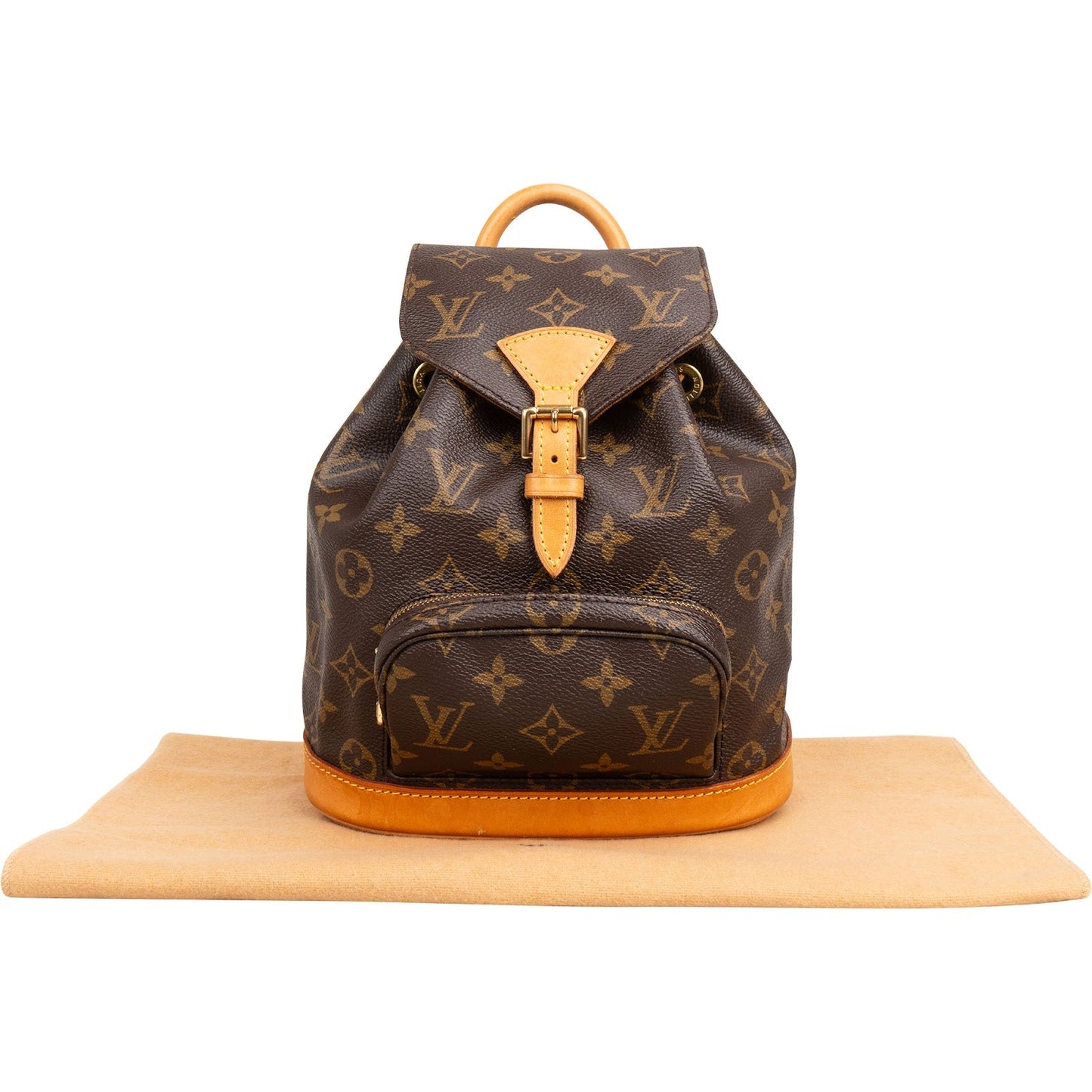 Louis Vuitton Monogram Canvas Montsouris PM Backpack