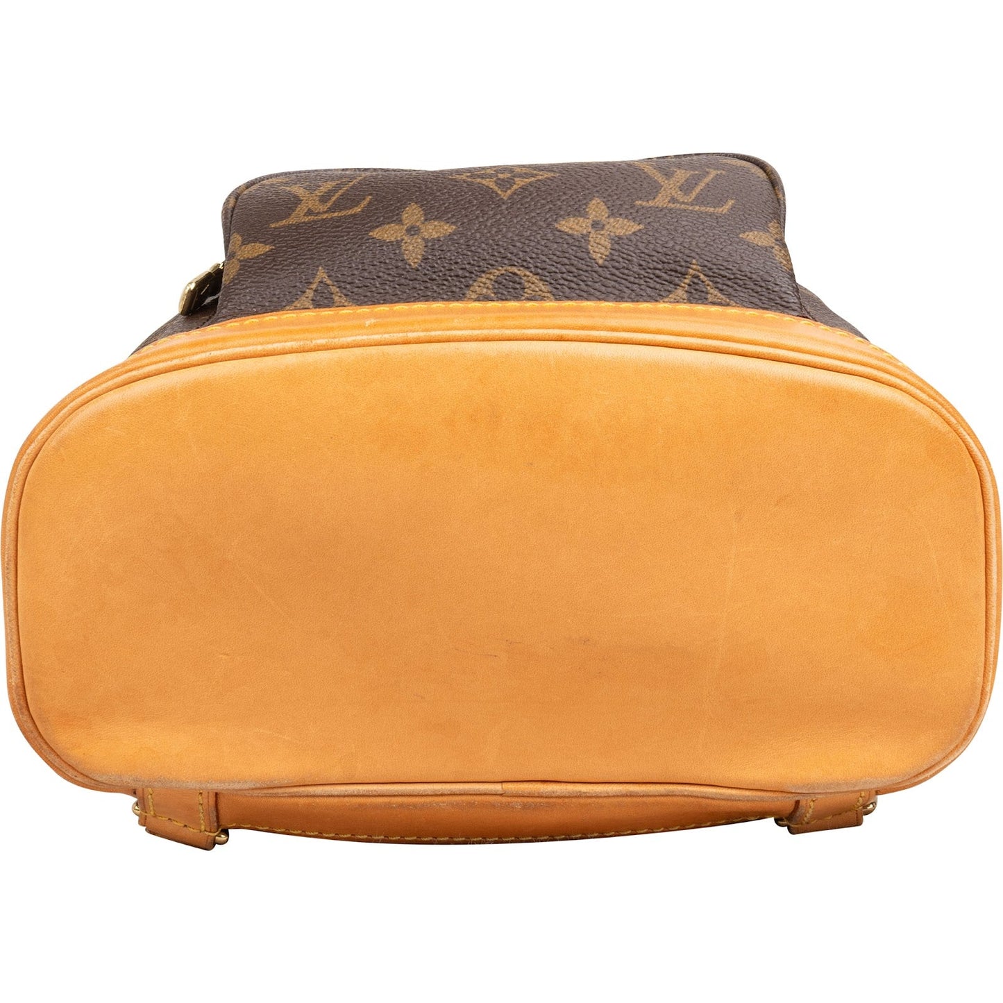 Louis Vuitton Monogram Canvas Montsouris PM Backpack