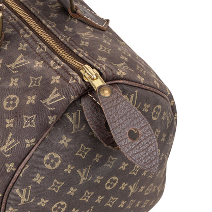 Louis Vuitton Mini Lin Monogram Speedy 30 Handbag