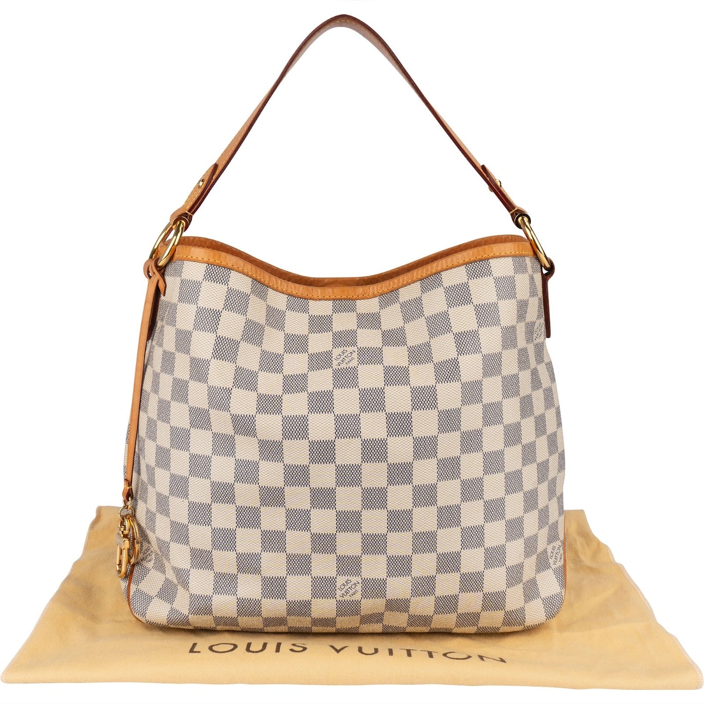 Louis Vuitton Monogram Damier Azur Canvas NM Delightful PM Handbag