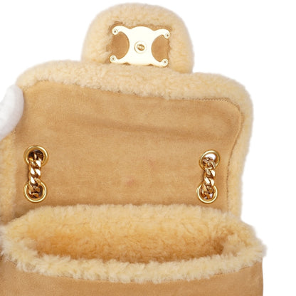 Celine Victoire Teen Shoulder Bag