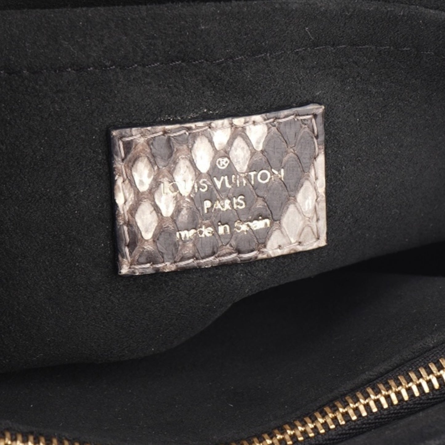 Louis Vuitton Saint-Placide Python Shoulder Bag