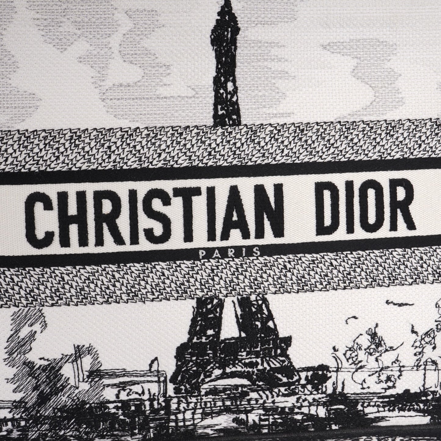 Christian Dior Book Tote Bag Paris Limited Edition Fullset