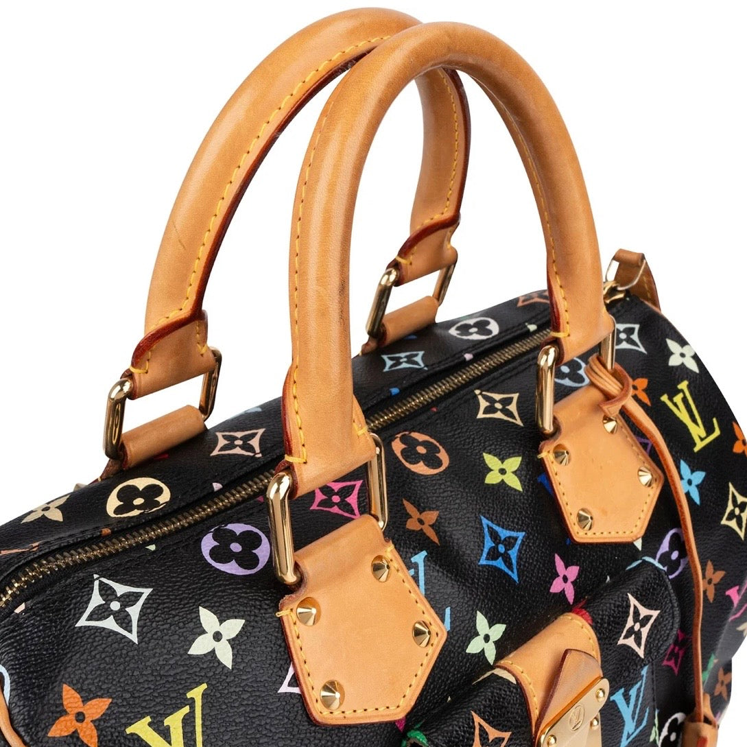 Louis Vuitton Monogram Murakami Multicolor Speedy 30 Handbag