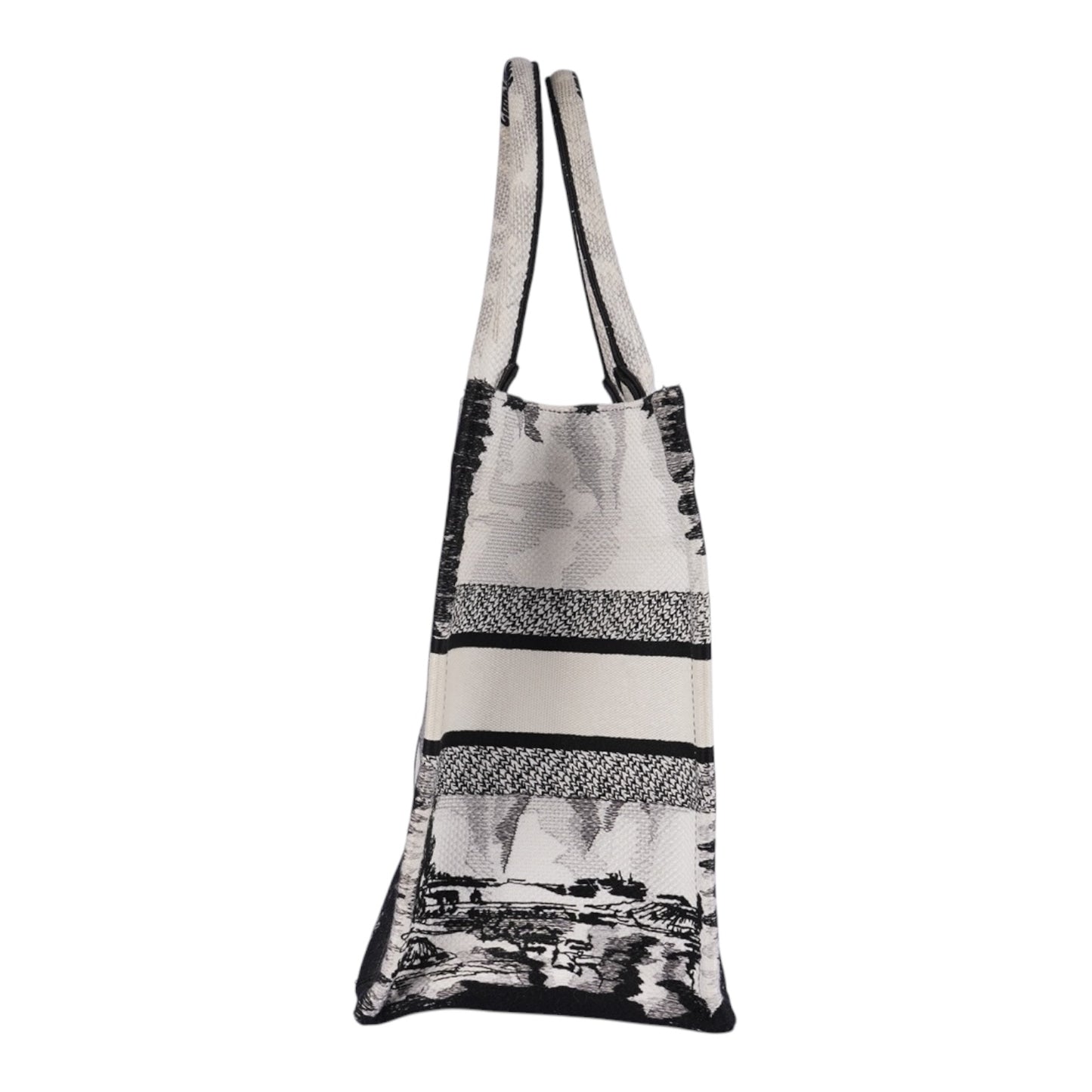Christian Dior Book Tote Bag Paris Limited Edition Fullset