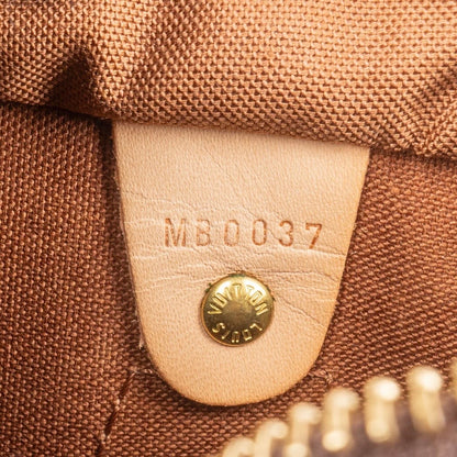 Louis Vuitton Monogram Canvas Speedy 25 Handbag