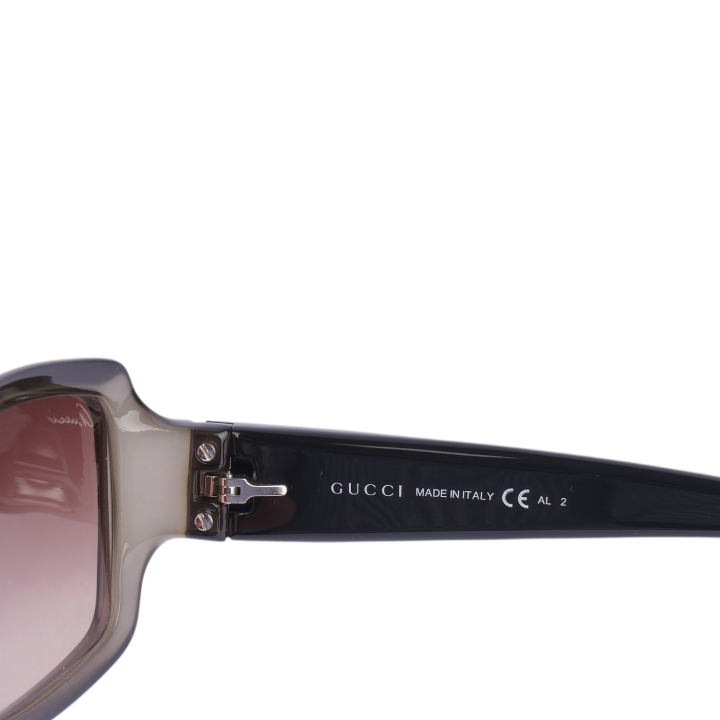 Gucci GG Logo Sunglasses Full Set