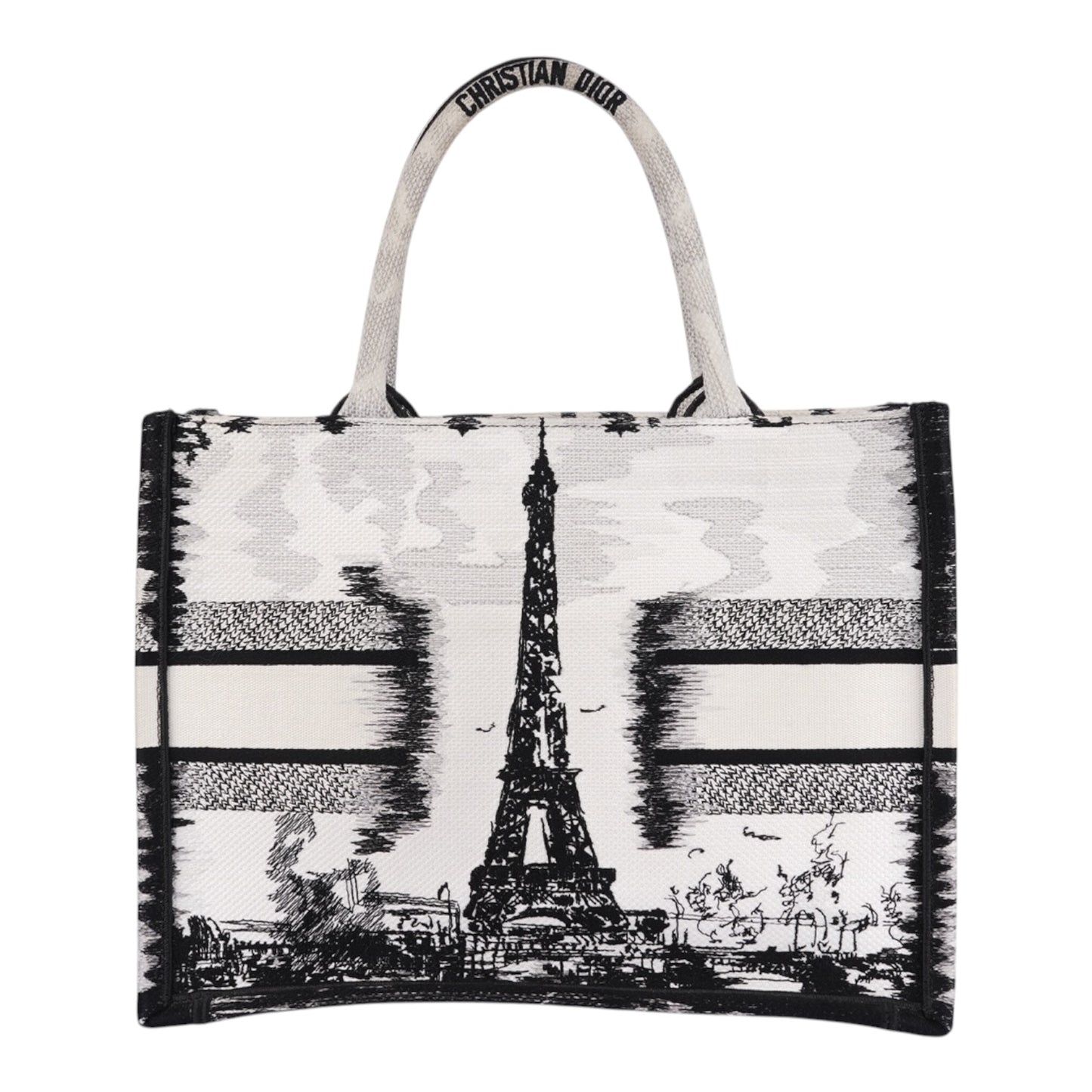 Christian Dior Book Tote Bag Paris Limited Edition Fullset