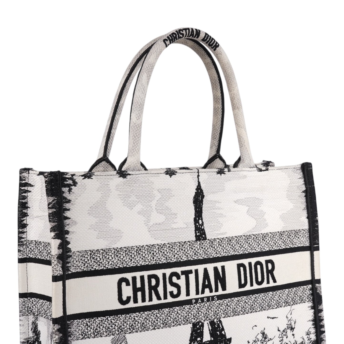 Christian Dior Book Tote Bag Paris Limited Edition Fullset