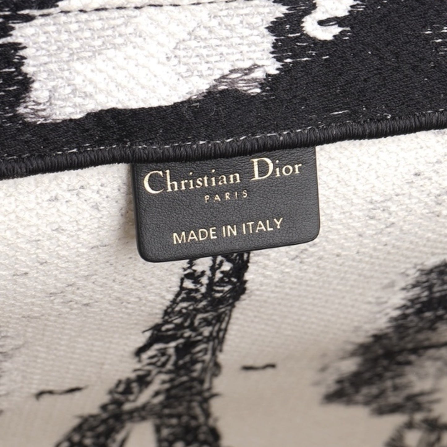 Christian Dior Book Tote Bag Paris Limited Edition Fullset