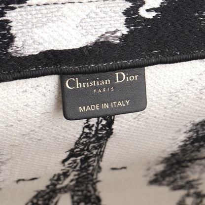 Christian Dior Book Tote Bag Paris Limited Edition Fullset
