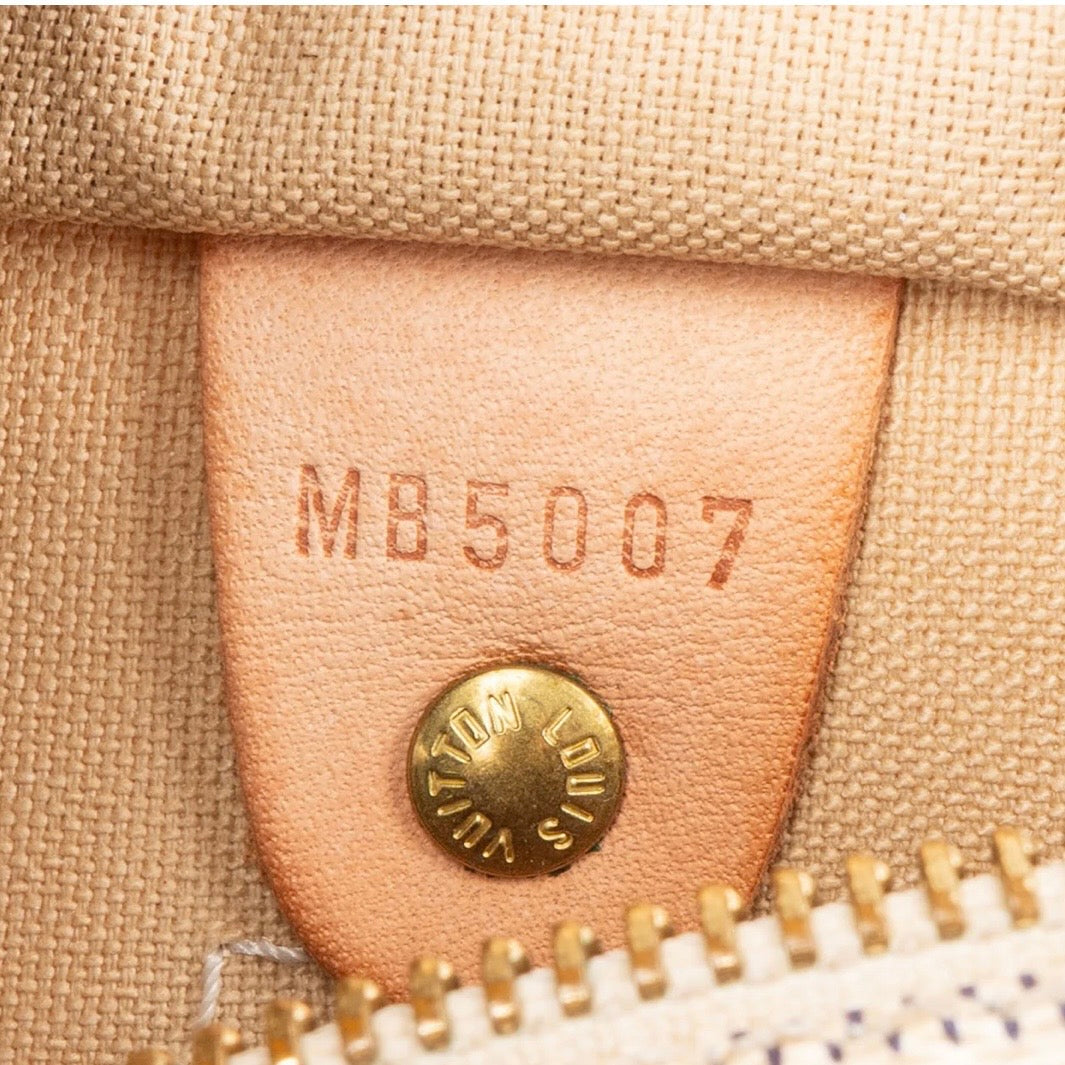Louis Vuitton Monogram Damier Azur Canvas Speedy 25 Handbag