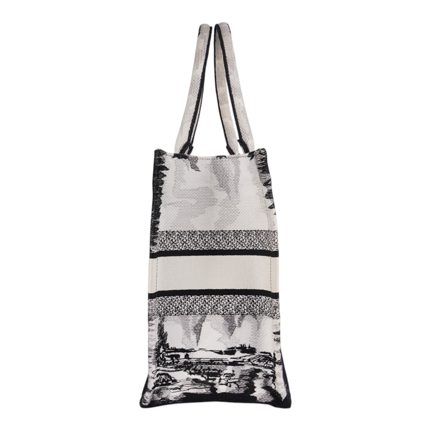 Christian Dior Book Tote Bag Paris Limited Edition Fullset