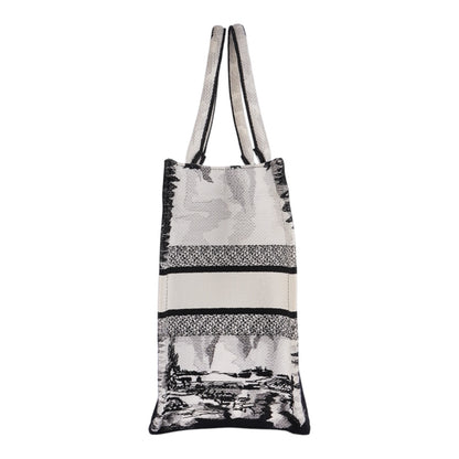 Christian Dior Book Tote Bag Paris Limited Edition Fullset