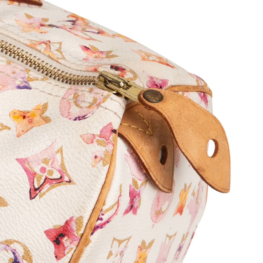 Louis Vuitton Limited Monogram Richard Prince Watercolor Speedy 35 Handbag