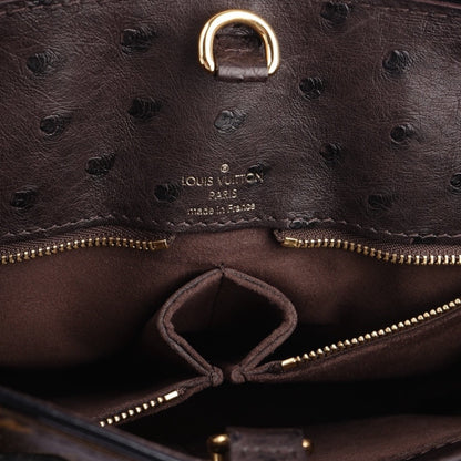 Louis Vuitton Limited Edition Monogram Etoile Exotique Tote MM Bag
