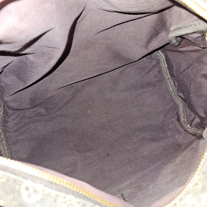 Louis Vuitton Monogram Mini Lin Speedy 30 Bandoulière Handbag